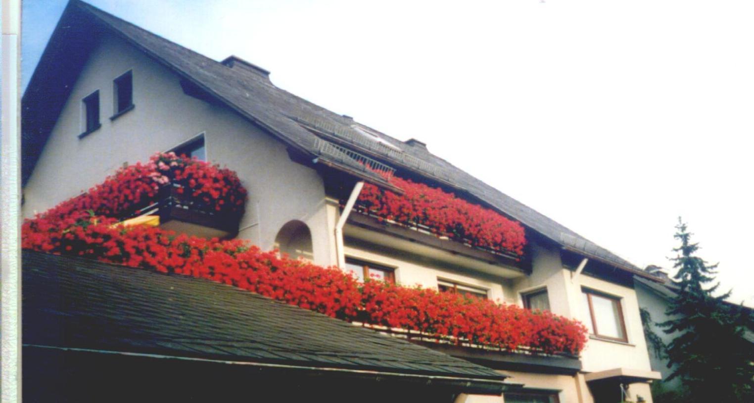 Hotel Haus Hubertus Winterberg Exteriér fotografie